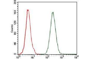 Flow Cytometry (FACS) image for anti-Chemokine (C-C Motif) Ligand 2 (CCL2) antibody (ABIN969505)