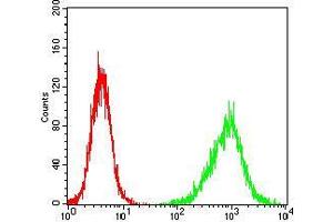 Flow cytometric analysis of NIH/3T3 cells using HH3 mouse mAb (green) and negative control (red). (Prokineticin Receptor 2 antibody  (acetylated))