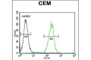 ZMYND10 Antibody (Center) (ABIN656033 and ABIN2845406) flow cytometric analysis of CEM cells (right histogram) compared to a negative control cell (left histogram). (ZMYND10 antibody  (AA 321-348))