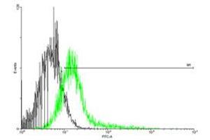 FACS analysis of negative control 293 cells (Black) and IFNGR1 expressing 293 cells (Green) using IFNGR1 purified MaxPab mouse polyclonal antibody. (IFNGR1 antibody  (AA 1-489))