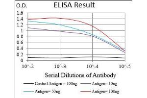 Black line: Control Antigen (100 ng), Purple line: Antigen(10 ng), Blue line: Antigen (50 ng), Red line: Antigen (100 ng), (MLXIPL antibody  (AA 18-143))