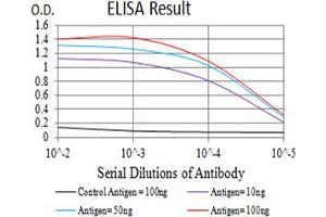 Black line: Control Antigen (100 ng),Purple line: Antigen (10 ng), Blue line: Antigen (50 ng), Red line:Antigen (100 ng) (BCL9L antibody  (AA 606-751))