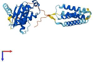 AlphaFold protein structure predicition of Human Recombinant SEC22C Protein, UniprotID Q9BRL7 (SEC22C Protein (AA 1-303) (His tag))