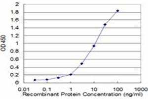 Detection limit for recombinant GST tagged HLA-DMB is approximately 0. (HLA-DMB antibody  (AA 22-129))