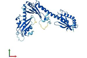 AlphaFold protein structure predicition of Mouse Recombinant Babam2 Protein, UniprotID Q8K3W0 (BRE Protein (AA 1-383) (His tag))