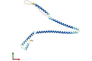 AlphaFold protein structure predicition of Human Recombinant CENPH Protein, UniprotID Q9H3R5 (CENPH Protein (AA 1-247) (His tag))