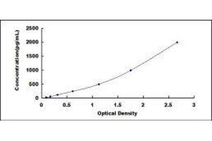 ELISA image for Nicotinamide phosphoribosyltransferase (NAMPT) ELISA Kit (ABIN6574184)