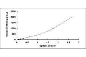 Typical standard curve (NAMPT ELISA Kit)