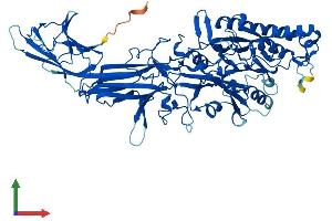 AlphaFold protein structure predicition of Mouse Recombinant Padi2 Protein, UniprotID Q08642 (PADI2 Protein (AA 1-673) (His tag))