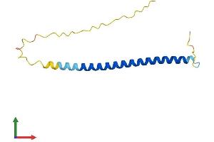 Protein Structure (PS) image for Short Coiled-Coil Protein (SCOC) (AA 1-125) protein (His tag) (ABIN7558184)