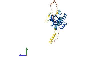 AlphaFold protein structure predicition of Mouse Recombinant Gem Protein, UniprotID P55041 (GEM Protein (AA 1-295) (His tag))
