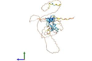 AlphaFold protein structure predicition of Mouse Recombinant D7h11orf16 Protein, UniprotID Q9JJR6 (D7h11orf16 Protein (AA 1-402) (His tag))