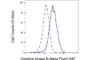 Validation of Creatine kinase B knockdown using flow cytometry.