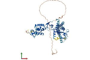 AlphaFold protein structure predicition of Human Recombinant ARIH1 Protein, UniprotID Q9Y4X5 (ARIH1 Protein (AA 1-557) (His tag))