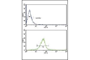 GSTM1 Antibody (C-term) (ABIN390883 and ABIN2841095) flow cytometric analysis of MDA-M cells (bottom histogram) compared to a negative control cell (top histogram). (GSTM1 antibody  (C-Term))