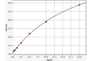 Typical standard curve (ABCC1 ELISA Kit)