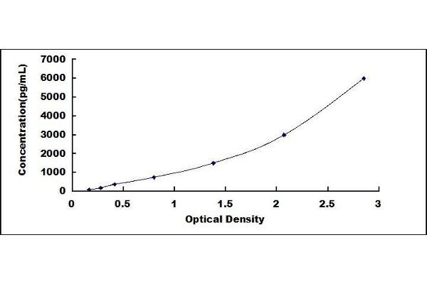 ENPP2 ELISA Kit