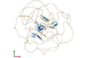 AlphaFold protein structure predicition of Mouse Recombinant Rbm20 Protein, UniprotID Q3UQS8 (RBM20 Protein (AA 1-1199) (His tag))