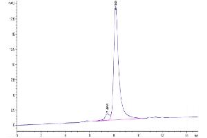 The purity of Human ARTN is greater than 95 % as determined by SEC-HPLC. (ARTN Protein (AA 108-220) (Fc Tag))