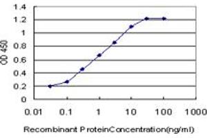 Detection limit for recombinant GST tagged NBR1 is approximately 0. (NBR1 antibody  (AA 2-96))