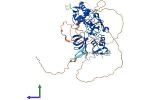 Protein Structure (PS) image for PHD Finger Protein 1 (PHF1) (AA 1-559) protein (His tag) (ABIN7565276)