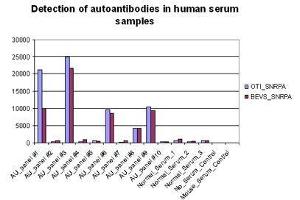 Bioactivity measured with Activity Assay (SNRPA1 Protein (Myc-DYKDDDDK Tag))