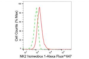 Flow cytometric analysis of NK2 homeobox 1 expression in HAP-1 cells using NK2 homeobox 1 antibody (ABIN7799606), 1:2,000). (Recombinant NKX2-1 antibody)