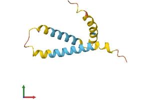 AlphaFold protein structure predicition of Human Recombinant HIGD1C Protein, UniprotID A8MV81 (HIGD1C Protein (AA 1-97) (His tag))