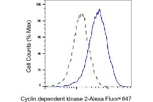 Validation of Cyclin dependent kinase 2 knockdown using flow cytometry. (Recombinant CDK2 antibody)