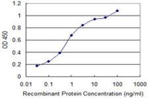 Detection limit for recombinant GST tagged SLC13A5 is 0. (SLC13A5 antibody  (AA 152-206))