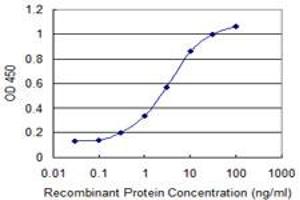 Detection limit for recombinant GST tagged GIMAP4 is 0. (GIMAP4 antibody  (AA 125-224))