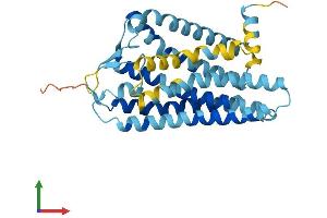 AlphaFold protein structure predicition of Human Recombinant OR52E6 Protein, UniprotID Q96RD3 (OR52E6 Protein (AA 1-313) (His tag))