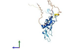 AlphaFold protein structure predicition of Human Recombinant EGFEM1P Protein, UniprotID Q0D2K5 (EGFEM1P Protein (AA 1-195) (His tag))