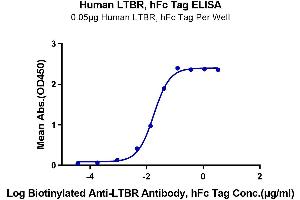 ELISA image for Lymphotoxin beta Receptor (TNFR Superfamily, Member 3) (LTBR) (AA 31-227) protein (Fc Tag) (ABIN7275218)