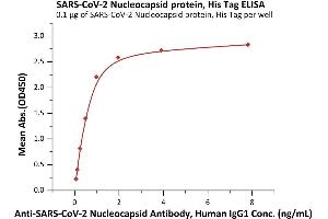ELISA image for SARS-CoV-2 Nucleocapsid (SARS-CoV-2 N) (D3L), (G204R), (R203K), (S235F) protein (His tag) (ABIN6971314)