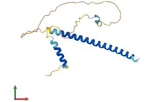 AlphaFold protein structure predicition of Mouse Recombinant Ddit3 Protein, UniprotID P35639 (DDIT3 Protein (AA 1-168) (His tag))