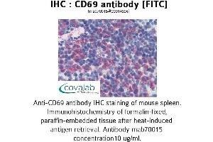 Image no. 1 for anti-CD69 (CD69) antibody (FITC) (ABIN1723067) (CD69 antibody  (FITC))