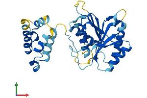 AlphaFold protein structure predicition of Human Recombinant FAM86B1 Protein, UniprotID Q8N7N1 (FAM86B1 Protein (AA 1-296) (His tag))