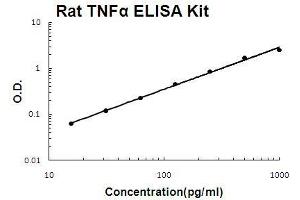 Rat TNF alpha PicoKine ELISA Kit standard curve (TNF alpha ELISA Kit)
