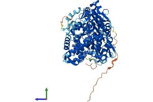 AlphaFold protein structure predicition of Mouse Recombinant Gnpat Protein, UniprotID P98192