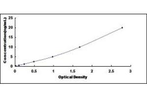 RCBTB2 ELISA Kit