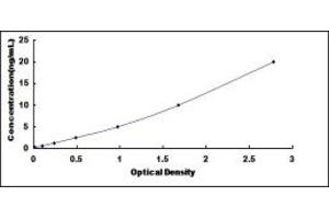 Typical standard curve (RCBTB2 ELISA Kit)