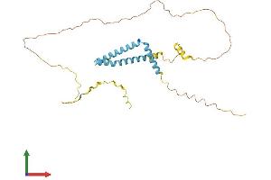AlphaFold protein structure predicition of Human Recombinant C6orf47 Protein, UniprotID O95873 (C6orf47 Protein (AA 1-294) (His tag))