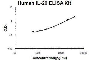 Human IL-20 PicoKine ELISA Kit standard curve