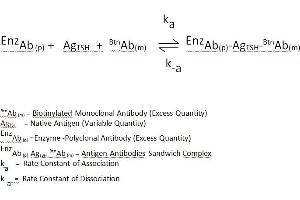 Carcinoembryonic Antigen Gene Family (CEA) CLIA Kit