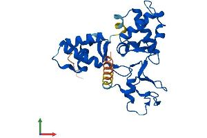 Protein Structure (PS) image for Non-SMC Element 1 Homolog (NSMCE1) (AA 1-266) protein (His tag) (ABIN7561064)