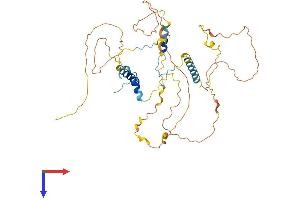 AlphaFold protein structure predicition of Human Recombinant PROSER2 Protein, UniprotID Q86WR7 (PROSER2 Protein (AA 1-435) (His tag))