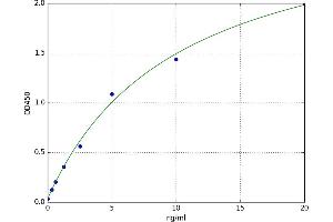 Aryl Hydrocarbon Receptor (AHR) ELISA Kit