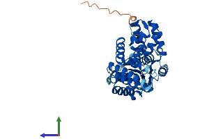 AlphaFold protein structure predicition of Human Recombinant RFC5 Protein, UniprotID P40937 (RFC5 Protein (AA 1-340) (His tag))