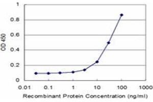 Detection limit for recombinant GST tagged MVK is approximately 3ng/ml as a capture antibody.
